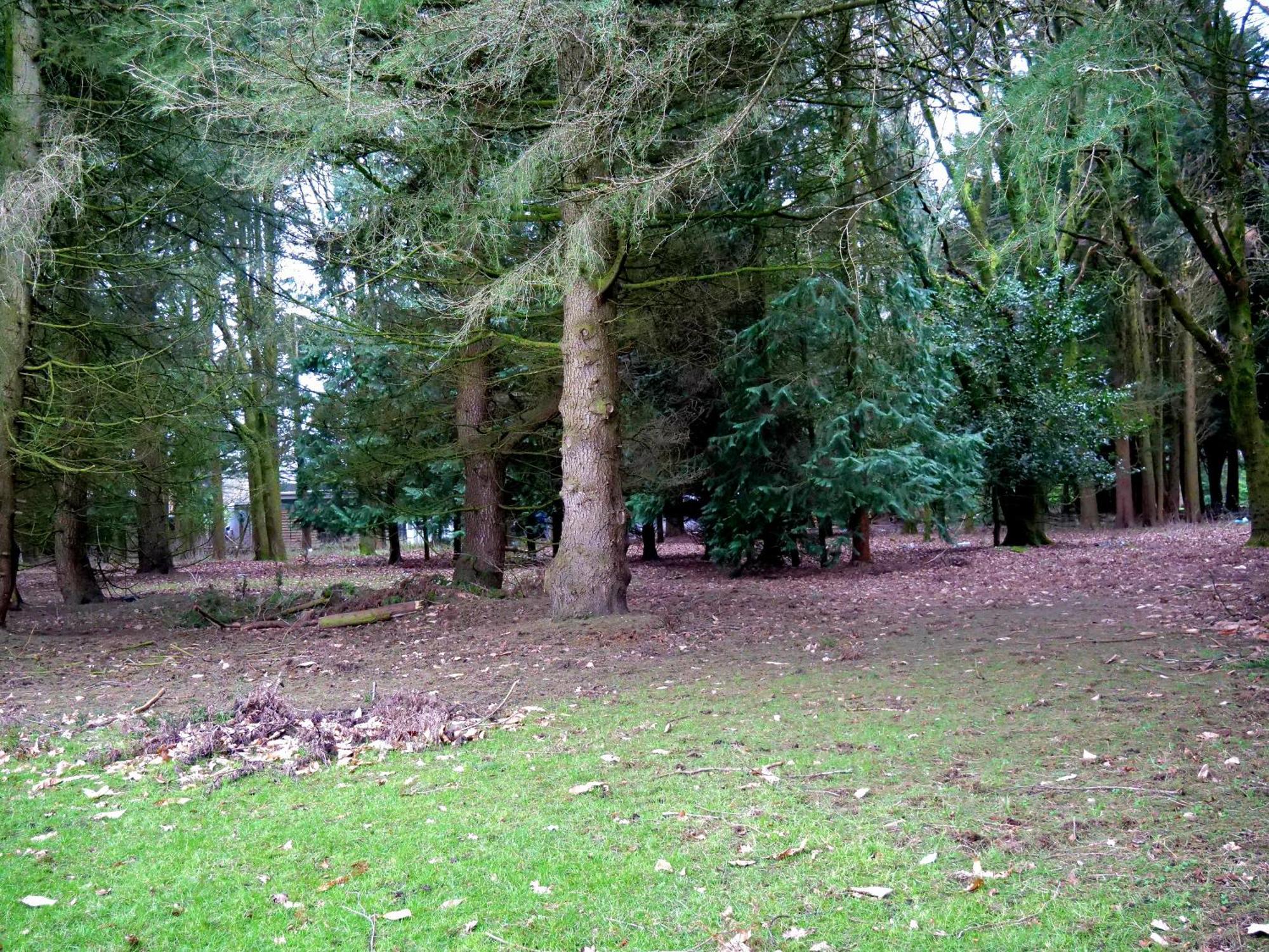 Beautiful Cottage In Brentwood Kelvedon Hatch Εξωτερικό φωτογραφία